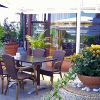Terras